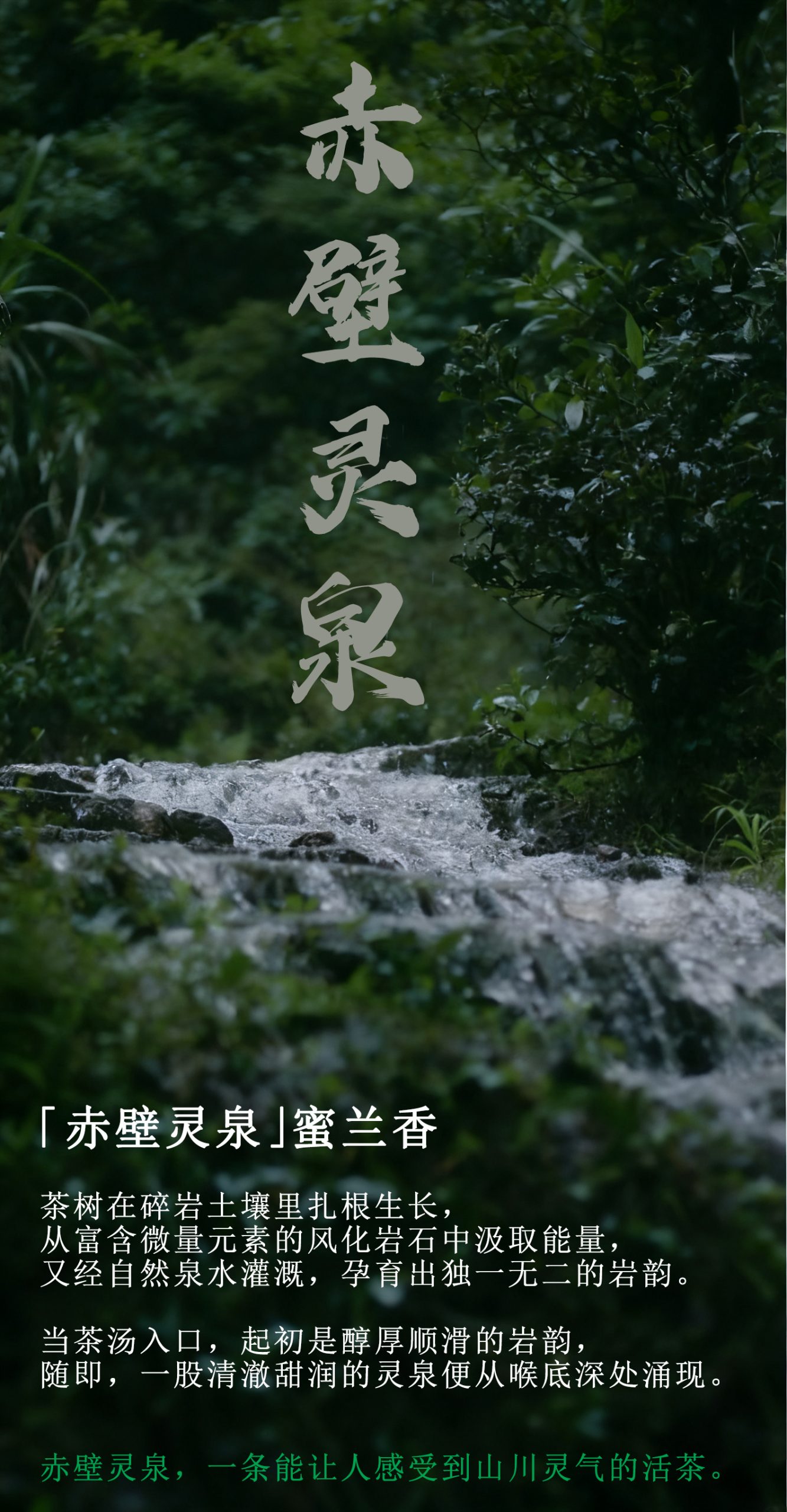 赤壁灵泉1介绍